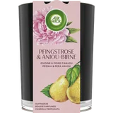 Duftkerze Pfingstrose + Anjou-Birne