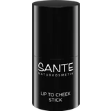 Lip to Cheek Stick 01 Rose Blush