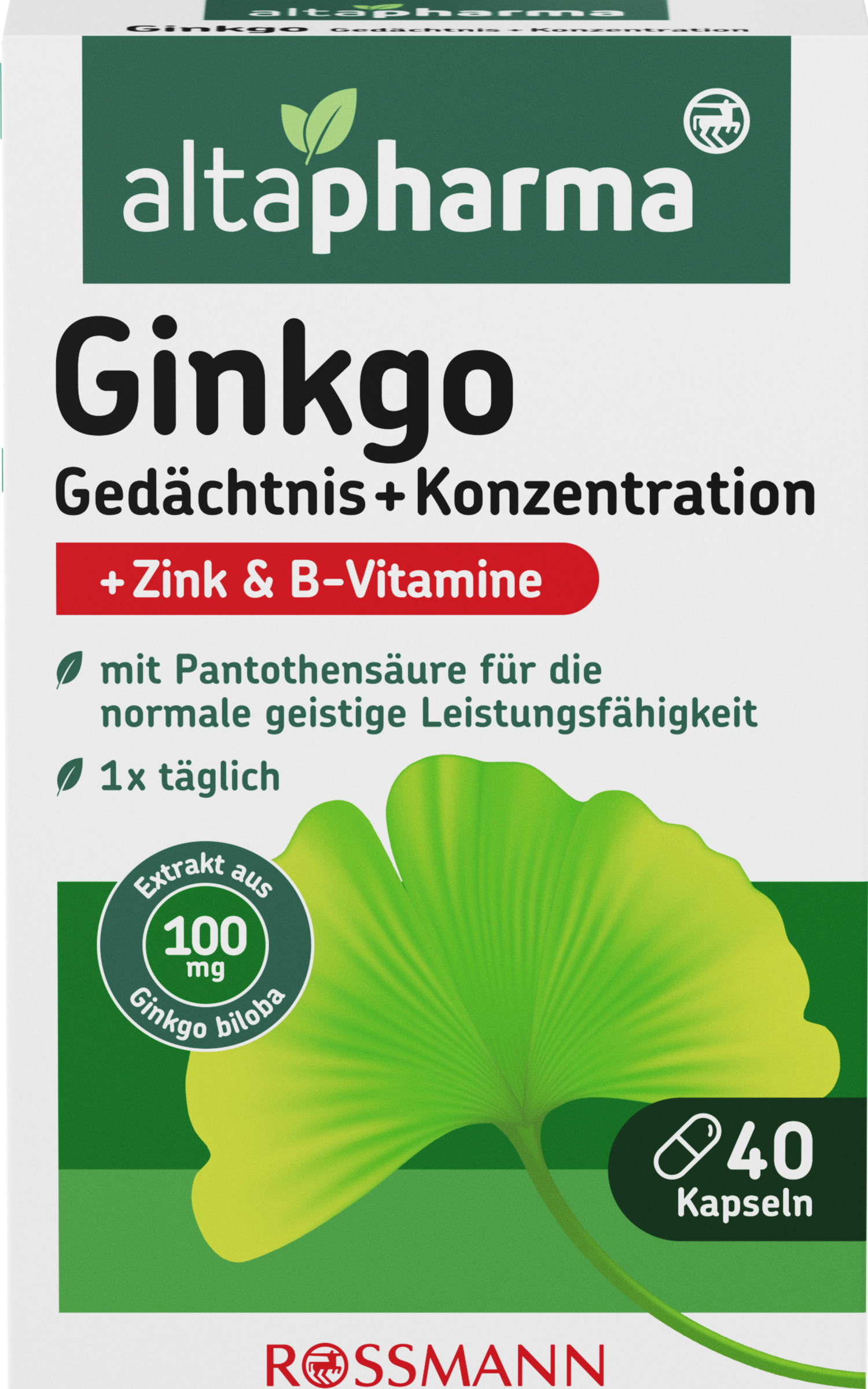 جنكة - الذاكرة + التركيز 2