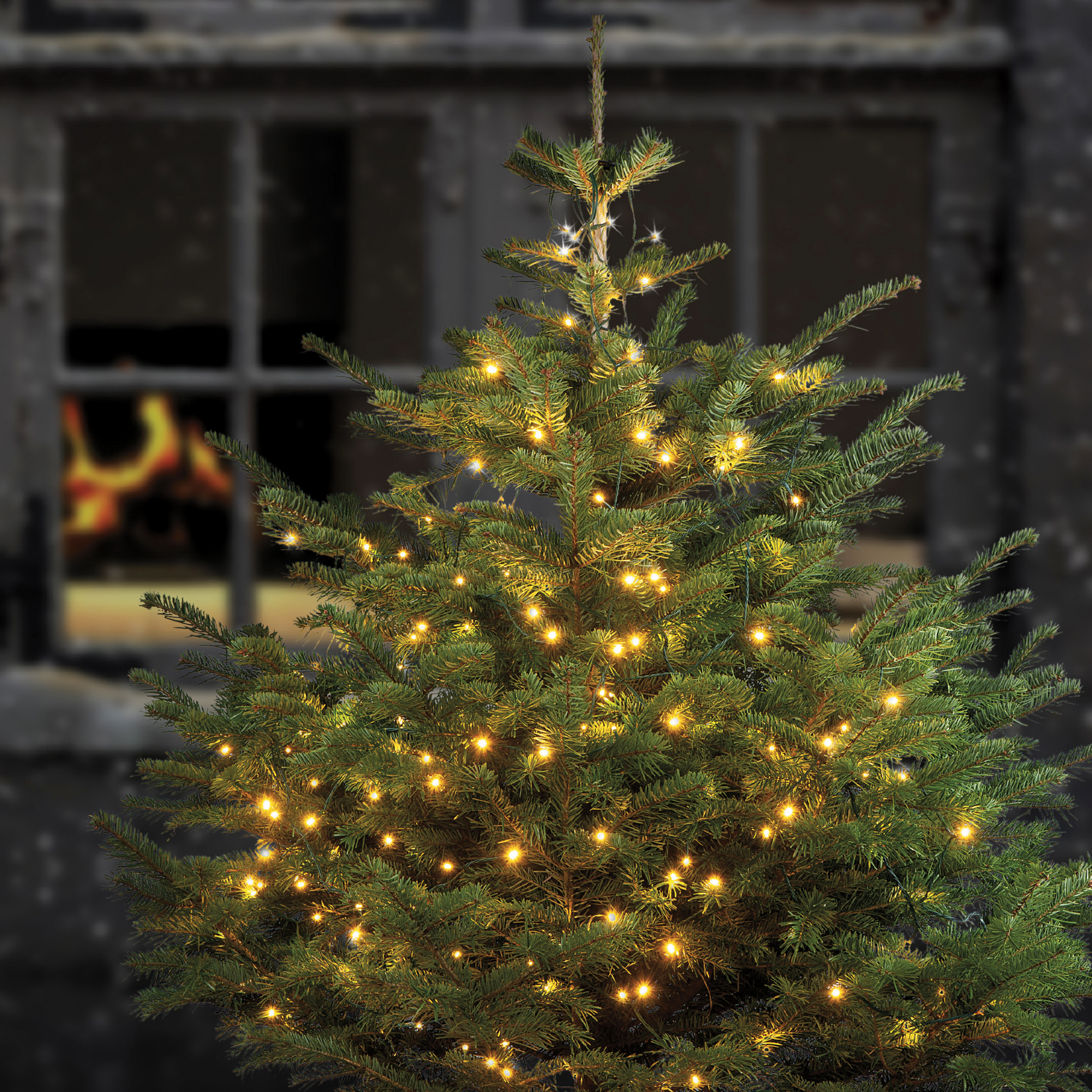 IDEENWELT Express-Weihnachtsbaumlichterkette