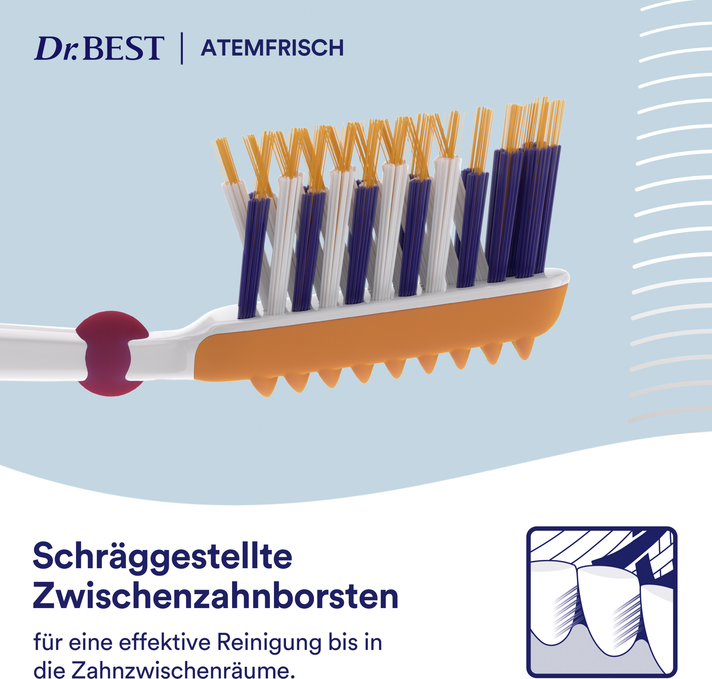 فرشاة أسنان لانتظام التنفس متوسطة مزدوجة العبوة 5