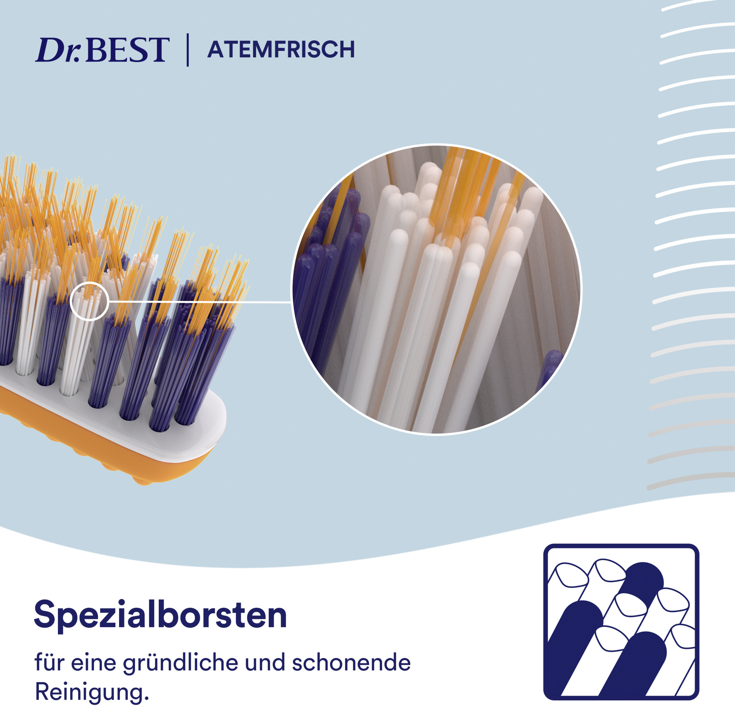 فرشاة أسنان لانتظام التنفس متوسطة مزدوجة العبوة 7