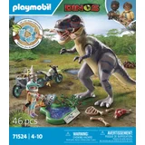 Playmobil T-Rex-Spurensuche