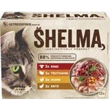 Multipack Fleisch in Soße