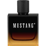 Amber Signature, EdT