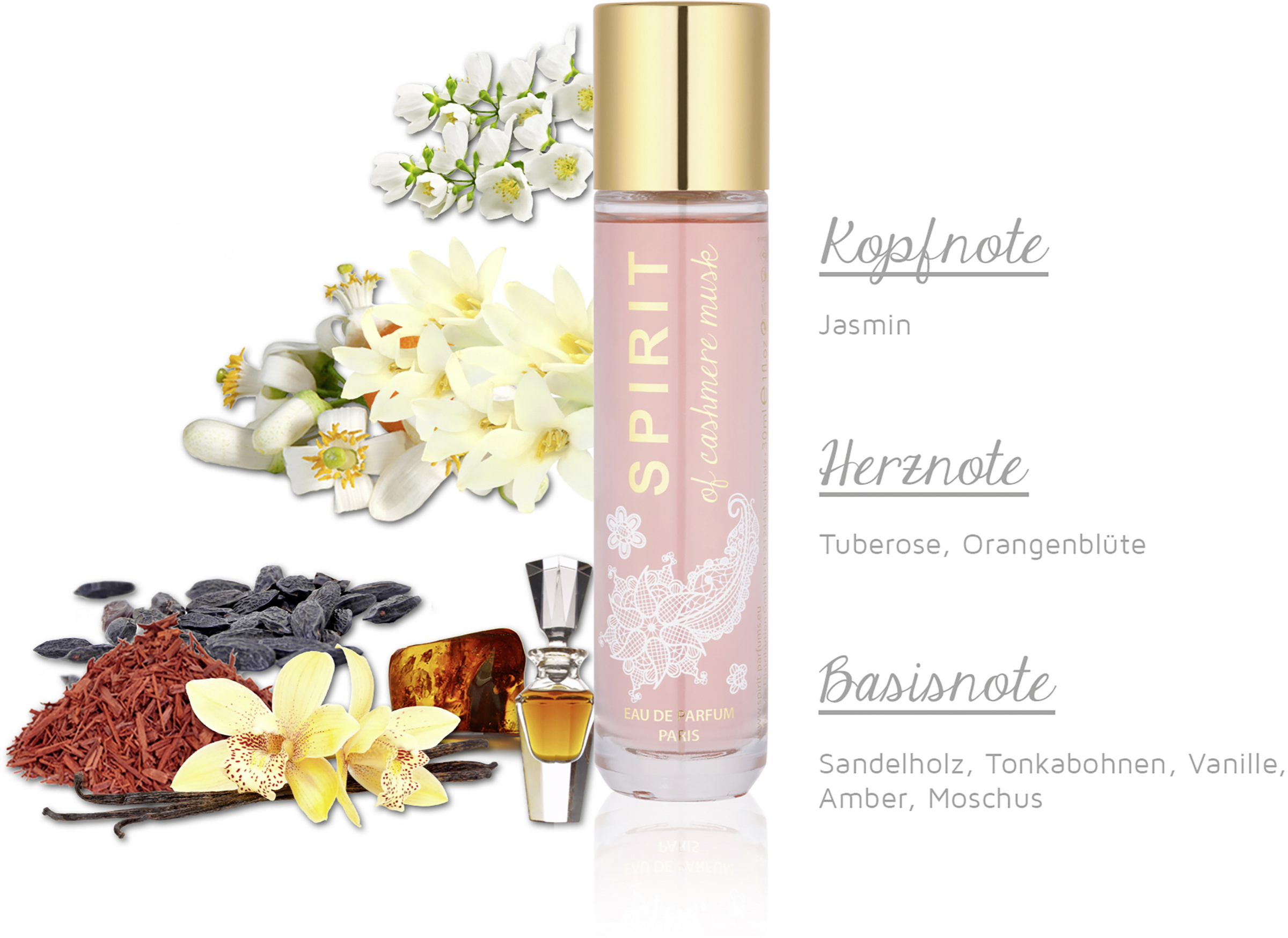 Rossmann Spirit Of Cashmere Musk Dupe Caline Eau De Cologne Migros