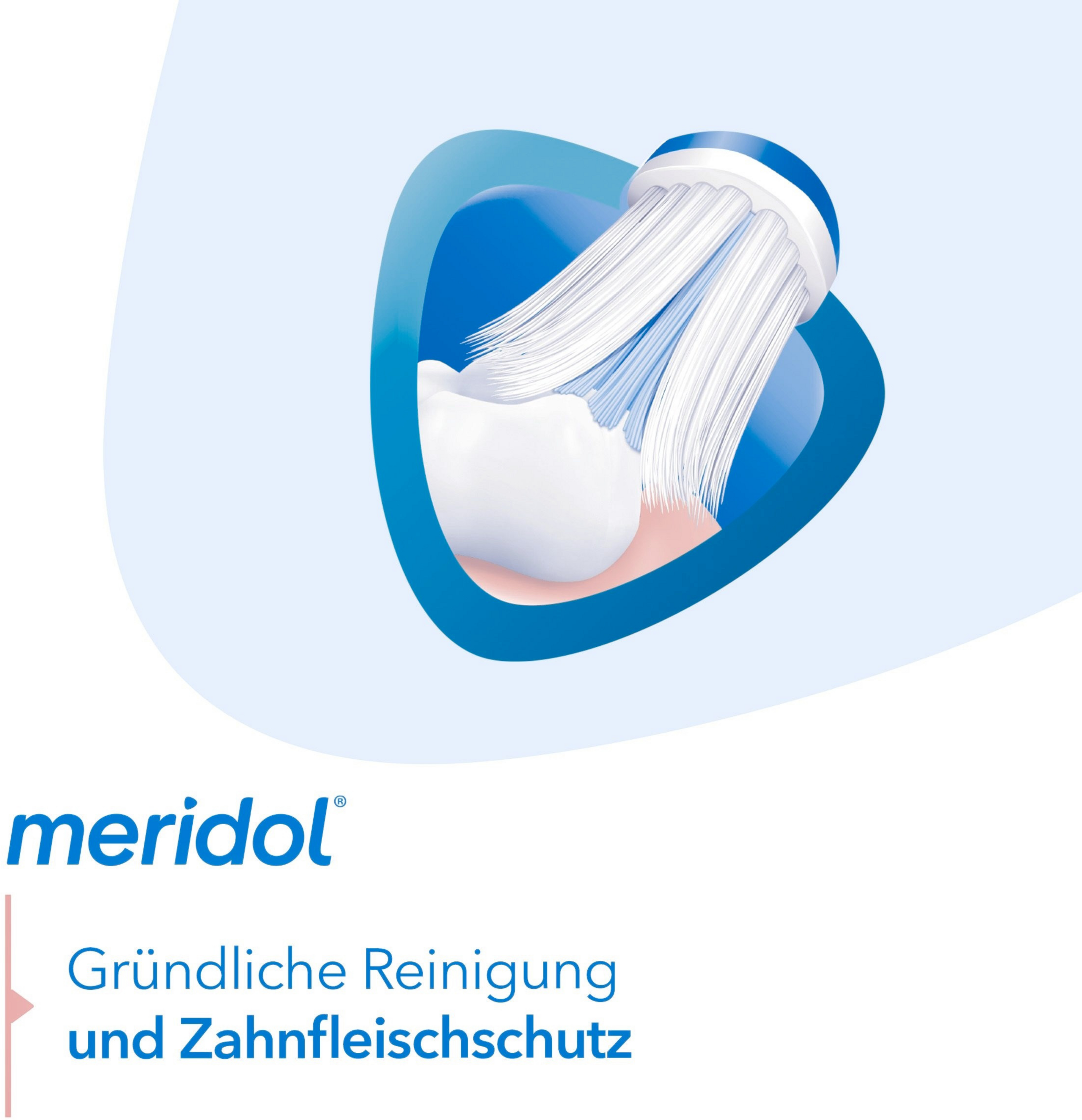 فرشاة أسنان لصحة اللثة متوسطة 4