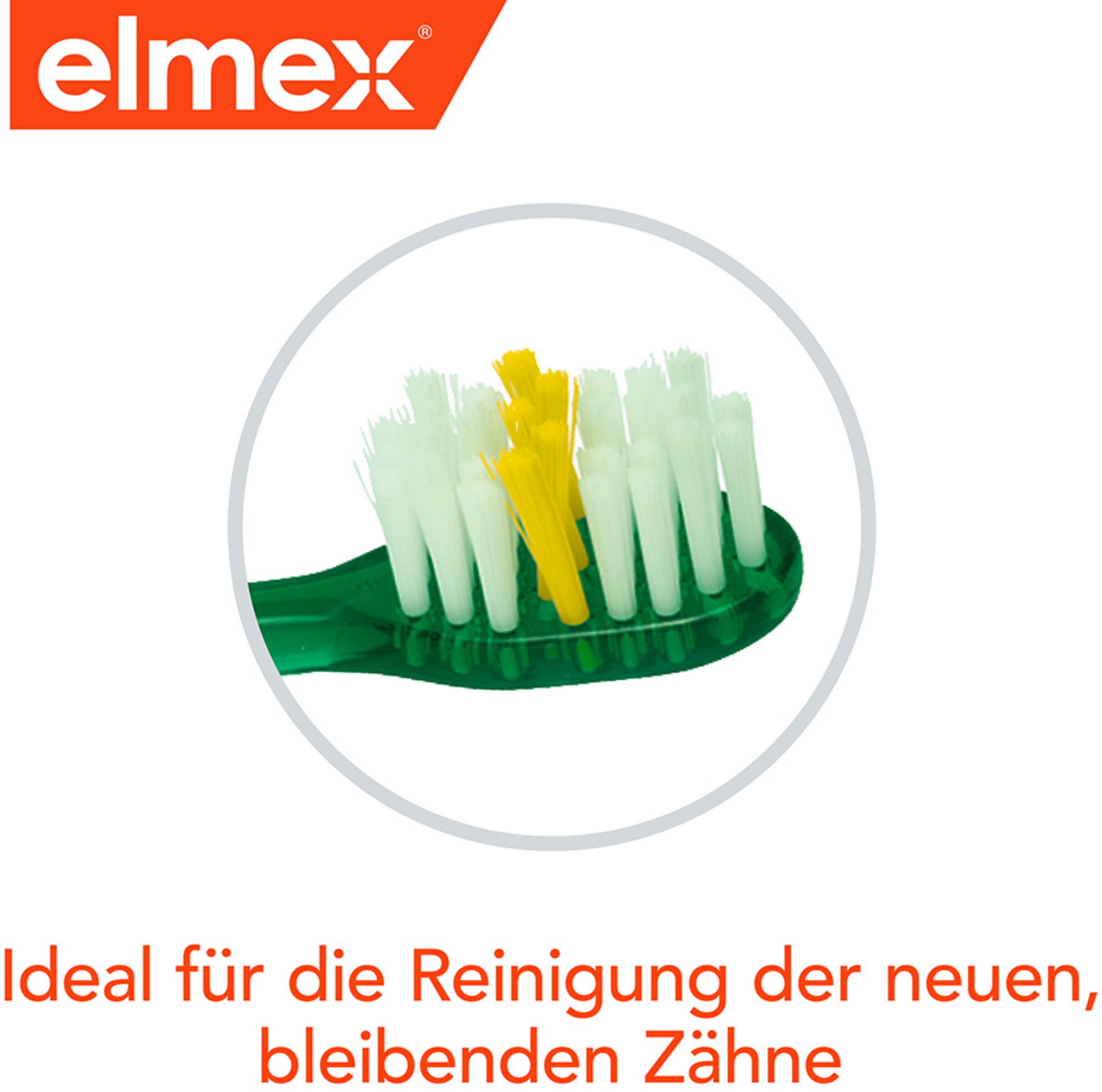 فرشاة أسنان للأطفال ناعمة عبوة مزدوجة 6-12 سنة 4