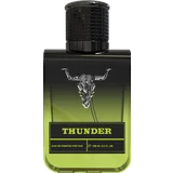 THUNDER for him, EdP 100 ml