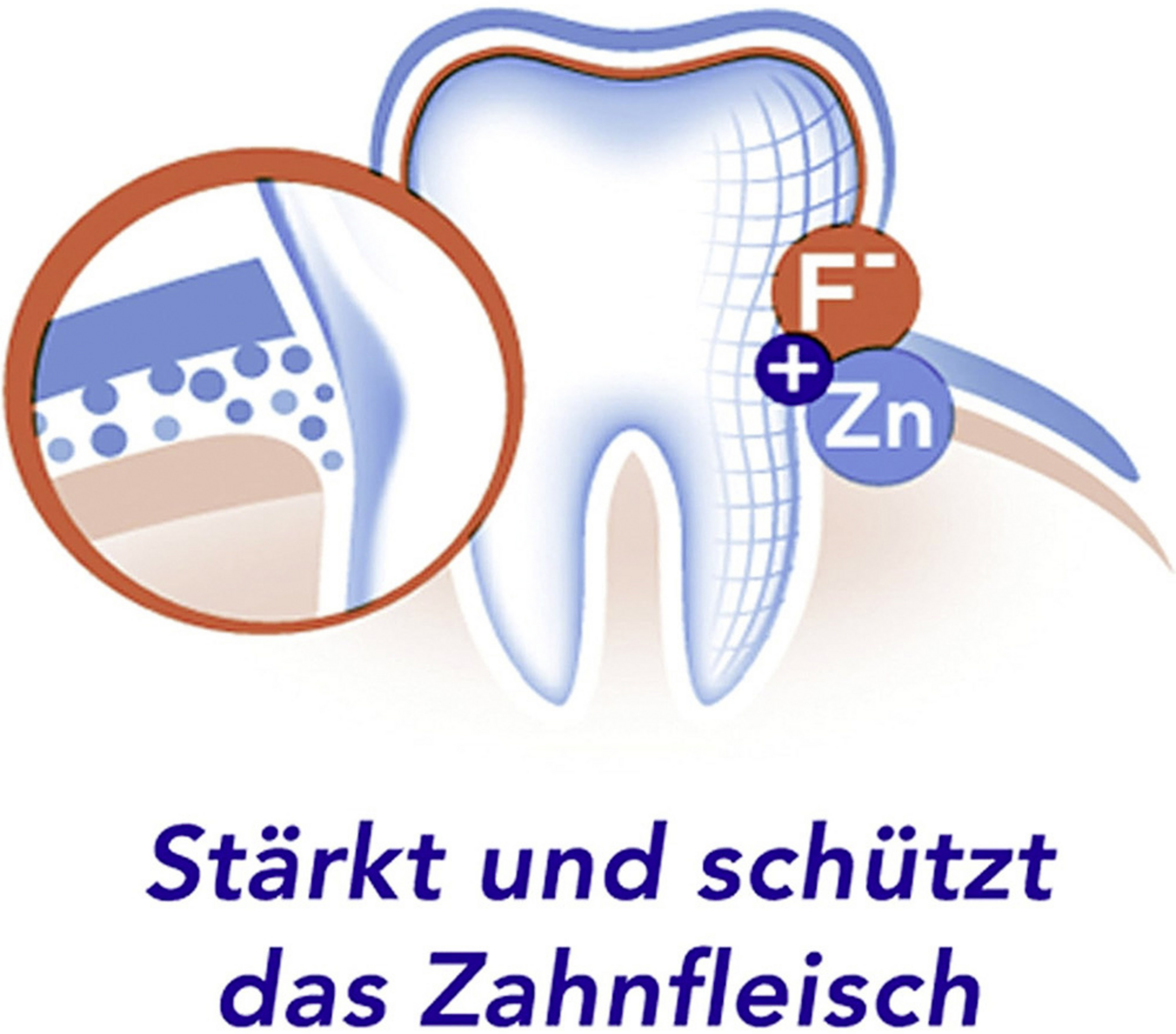 حماية اللثة بالزنك 5