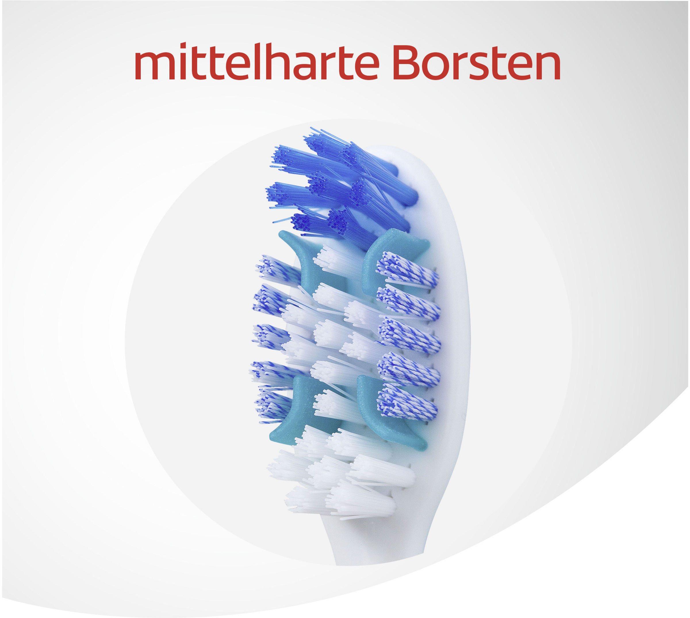 تنظيف عميق شامل + فرشاة أسنان منعشة 1+1 4