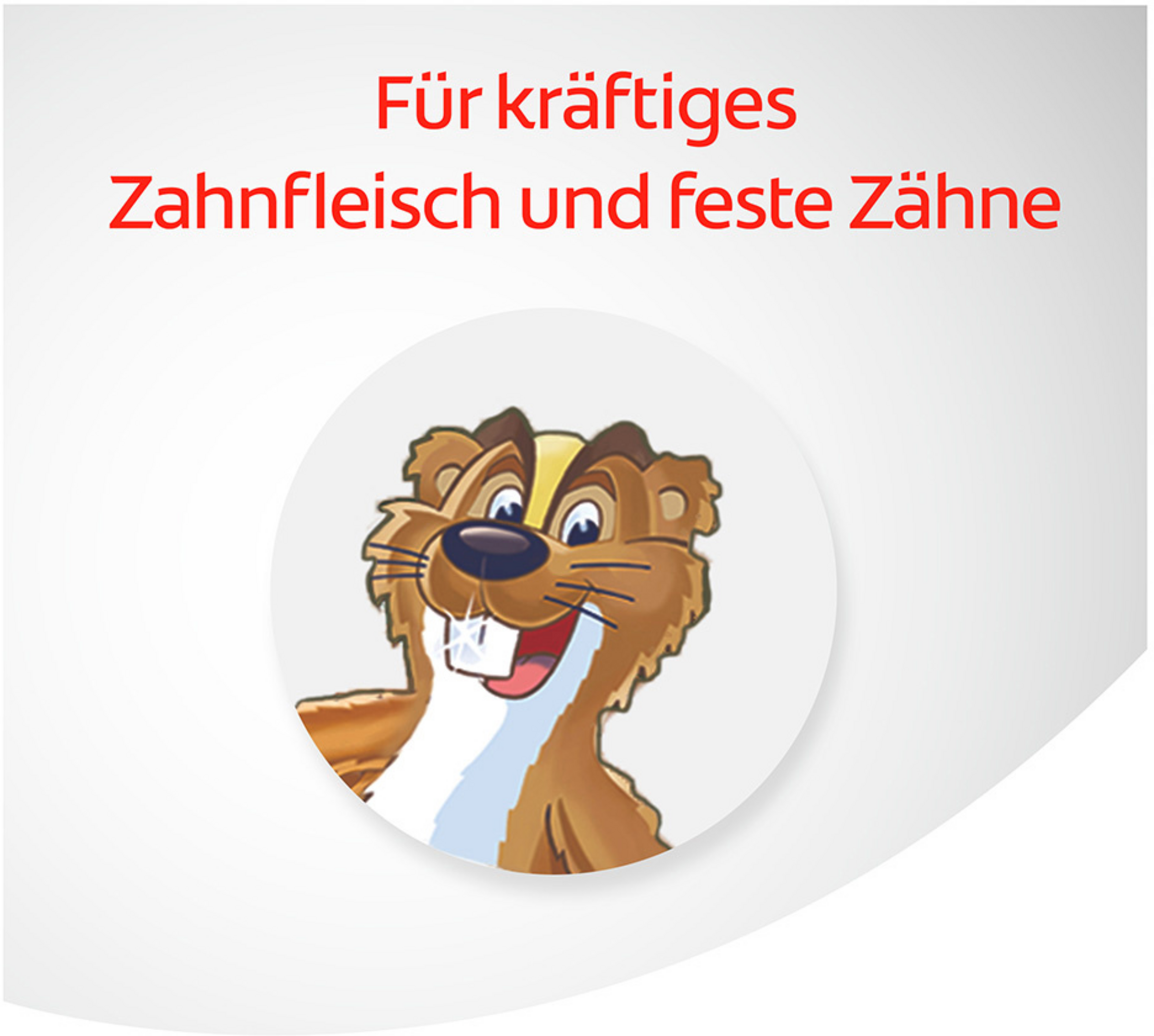 معجون أسنان عشبي 4