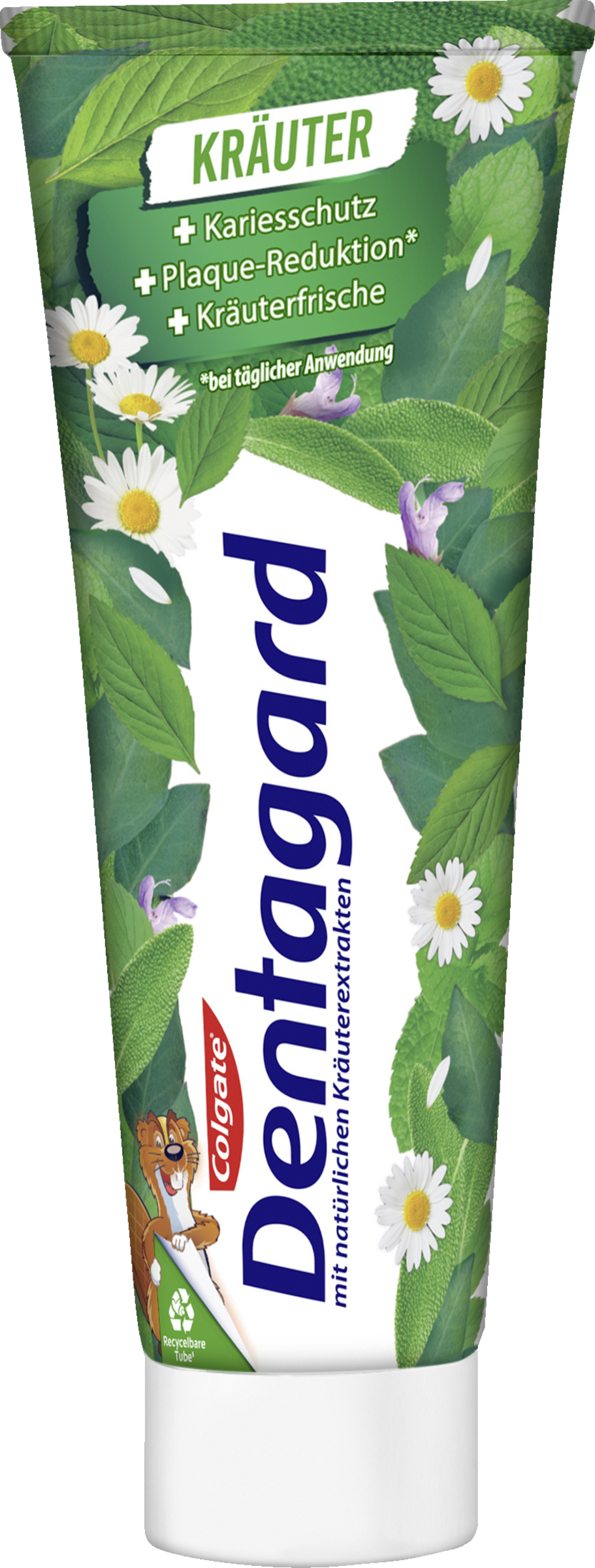 Colgate Dentagard Kräuter Zahnpasta