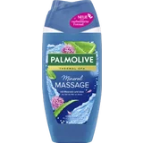 Wellness Massage Duschgel