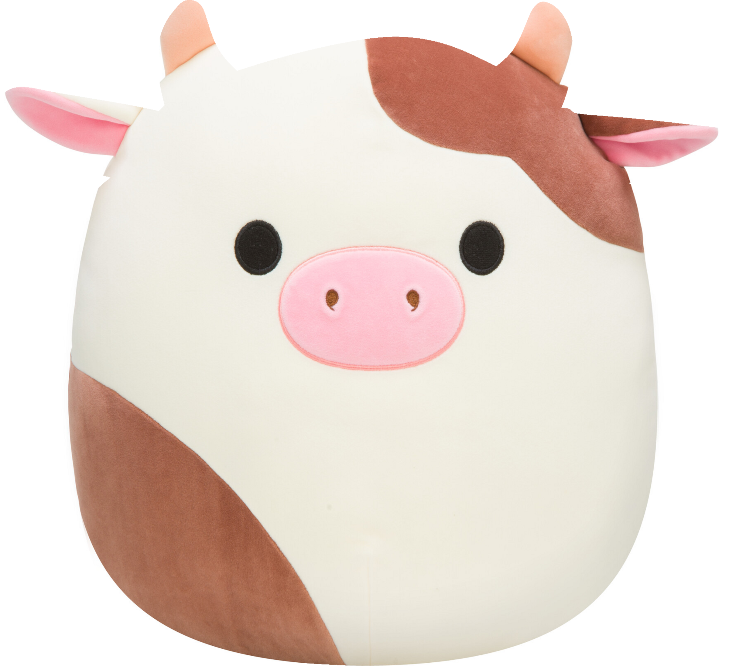 Jazwares Squishmallows Exklusiv
