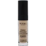 Elixier Mousse Concealer 01