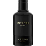 Homme Intense Gold, EdT 60ml