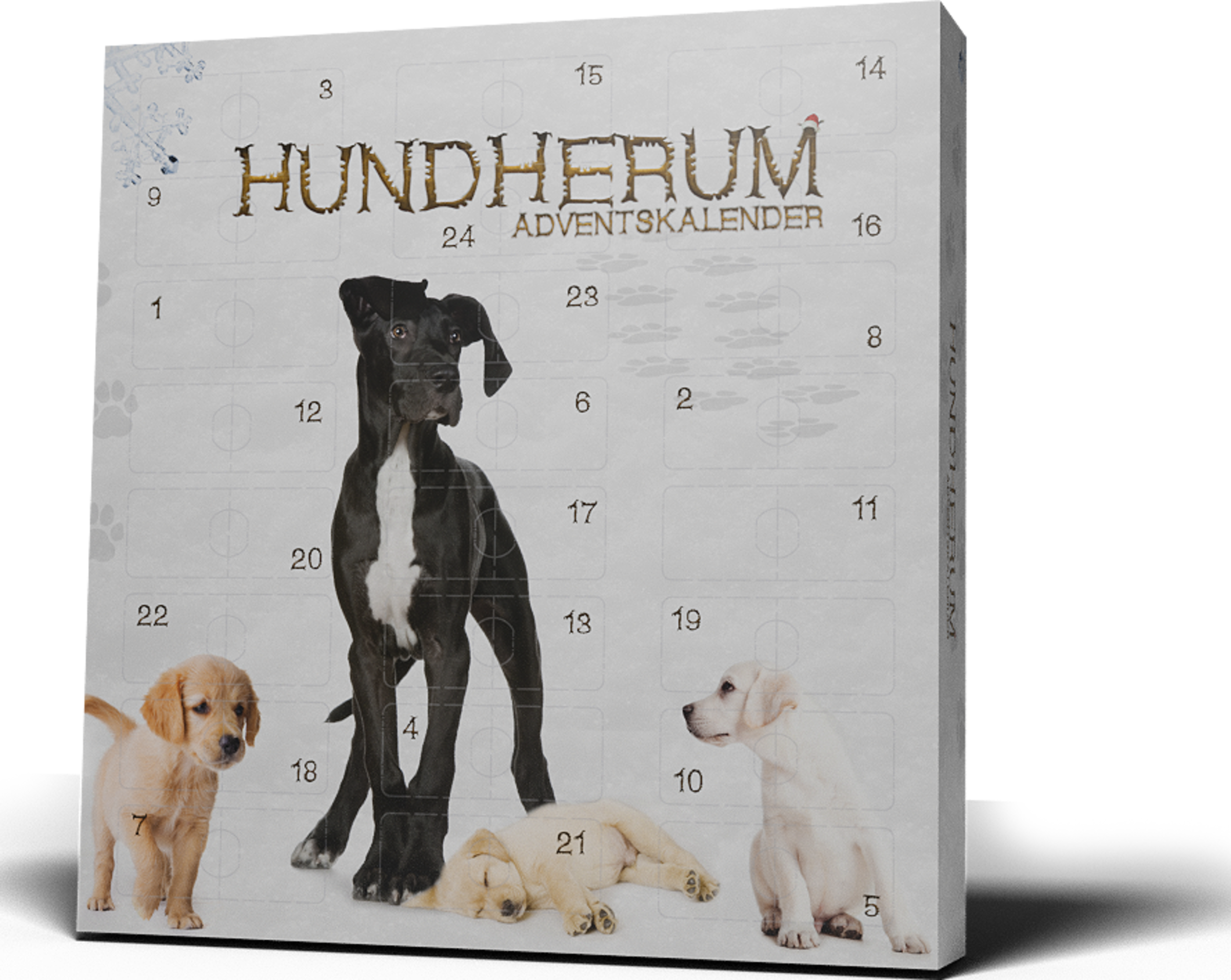 Keine Marke Hundherum Hunde Adventskalender 2025