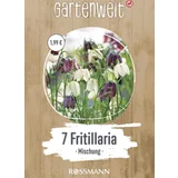 Fritillaria Meleagris