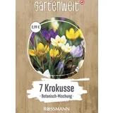 Krokusse