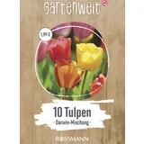 Tulpen