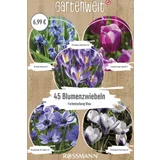Premium Box Bienen und Schmetterlinge Kollektion Blau