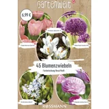 Premium Box Bienen & Schmetterlinge Kollektion Rosa/Weiß