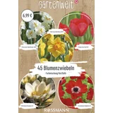 Premium Box Bienen & Schmetterlinge Kollektion Rot/Gelb