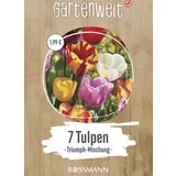 Tulpen Triumpf Mischung