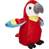 Plappertier Papagei