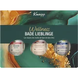 Wellness Bade Lieblinge Geschenkset