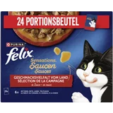 Sensation Geschmacksvielfalt vom Land in Sauce Multipack