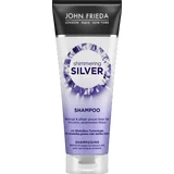 Shimmering Silver Shampoo