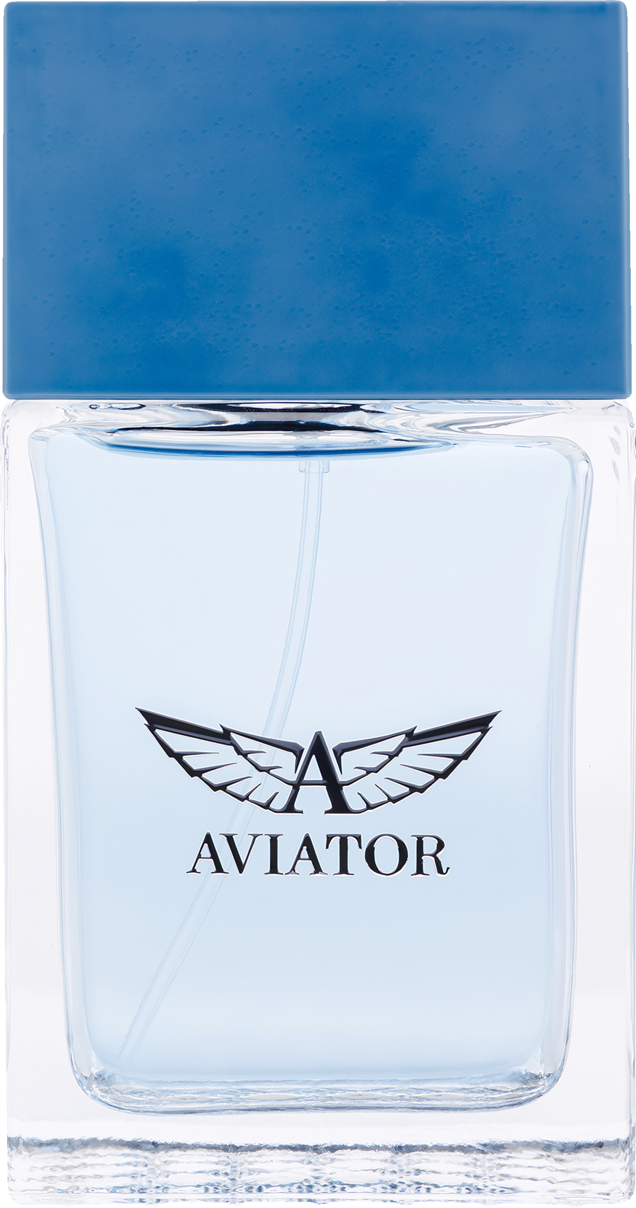 Energy Pour Homme, EdP 100 ml