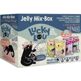 Extra Food Jelly-Mix-Box Ergänzungsfutter für Katzen