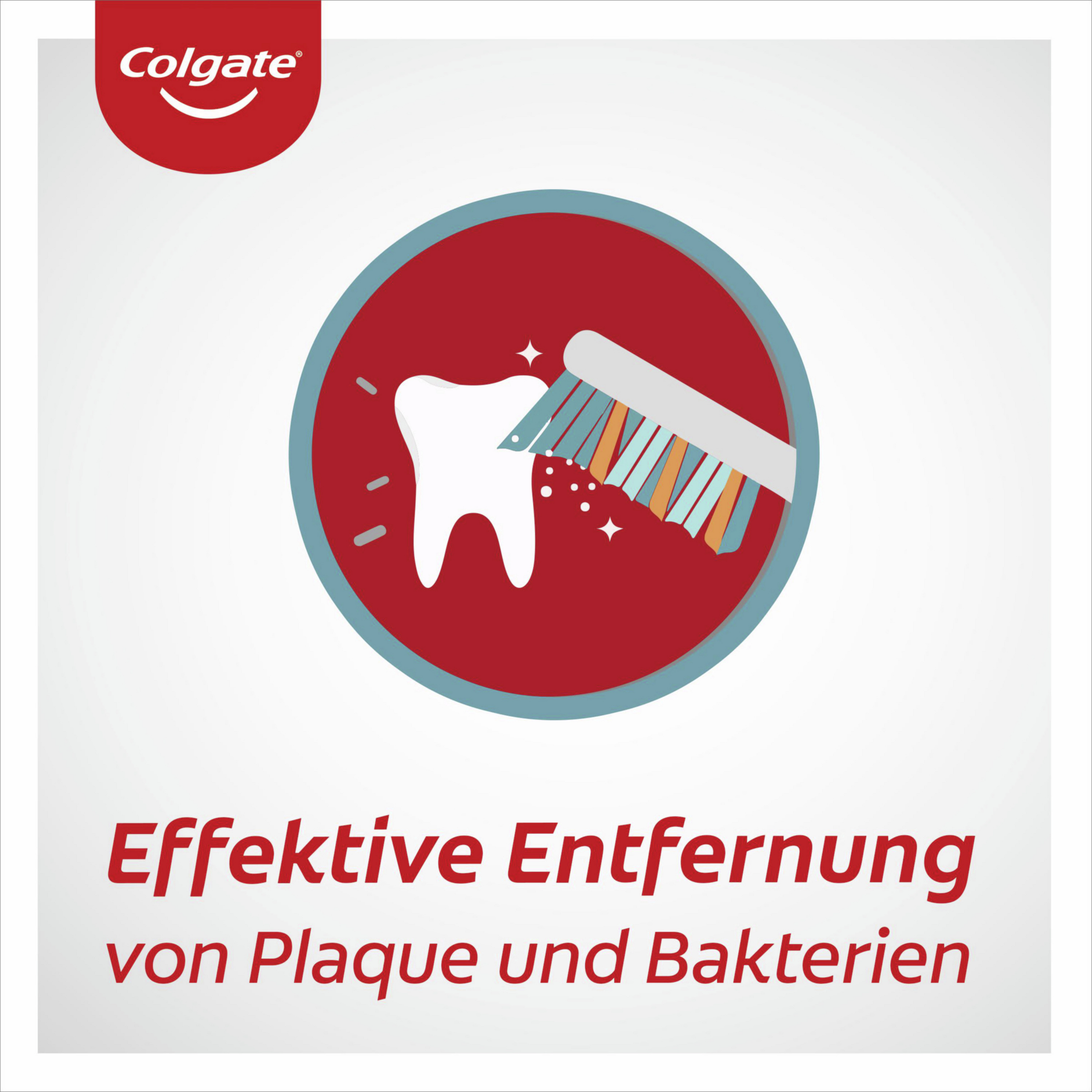 فرشاة أسنان للسفر 3