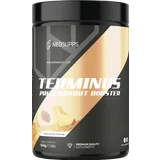 Terminus Booster Peach Ice Tea