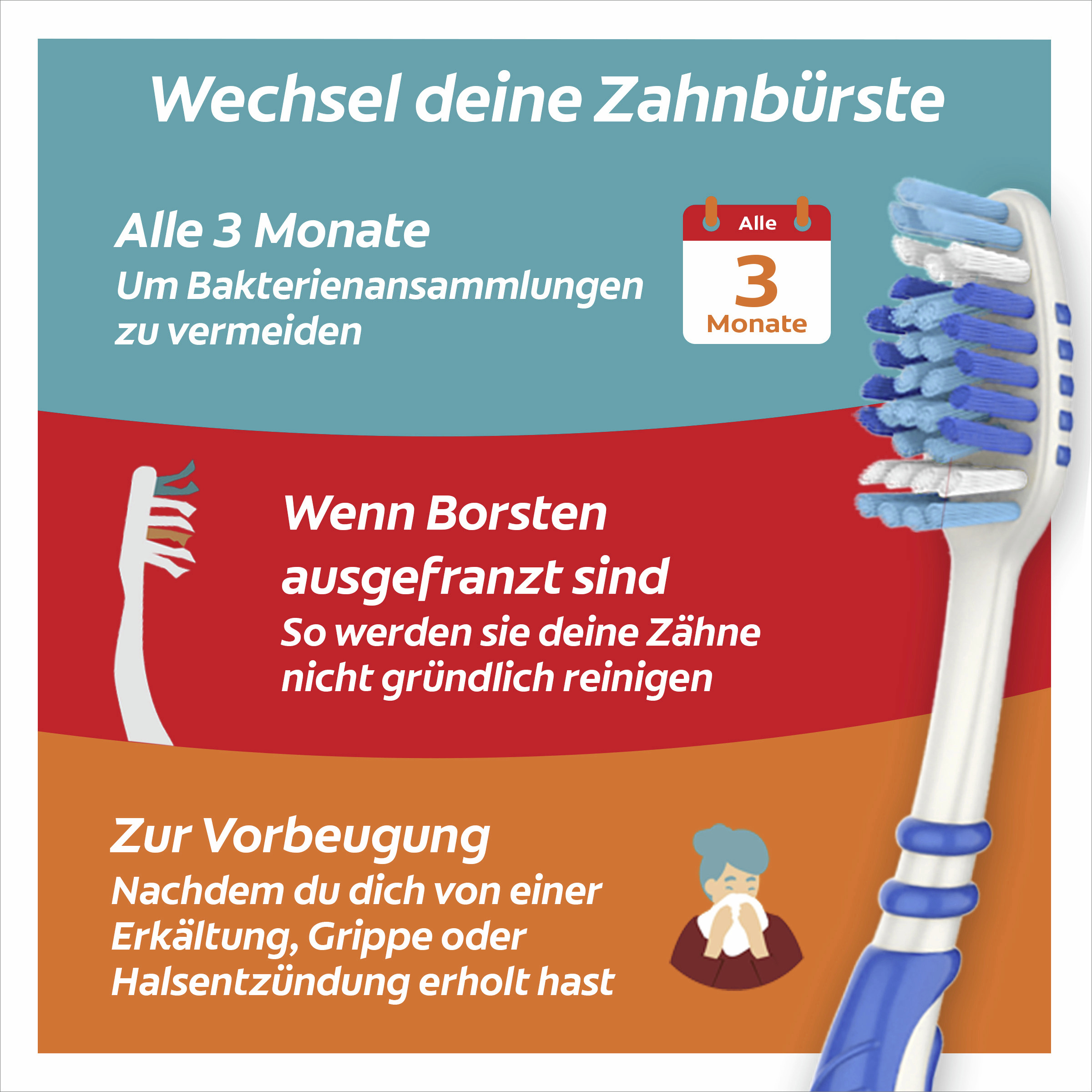 فرشاة أسنان 360 درجة تنظيف عميق 1+1 6