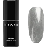 NEONAIL UV Nagellack Silver Sheen