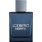 Iceberg Homme, EdT 100ml