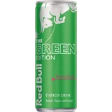 Green Edition Kaktusfrucht EINWEG