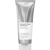 Molecular Repair Conditioner