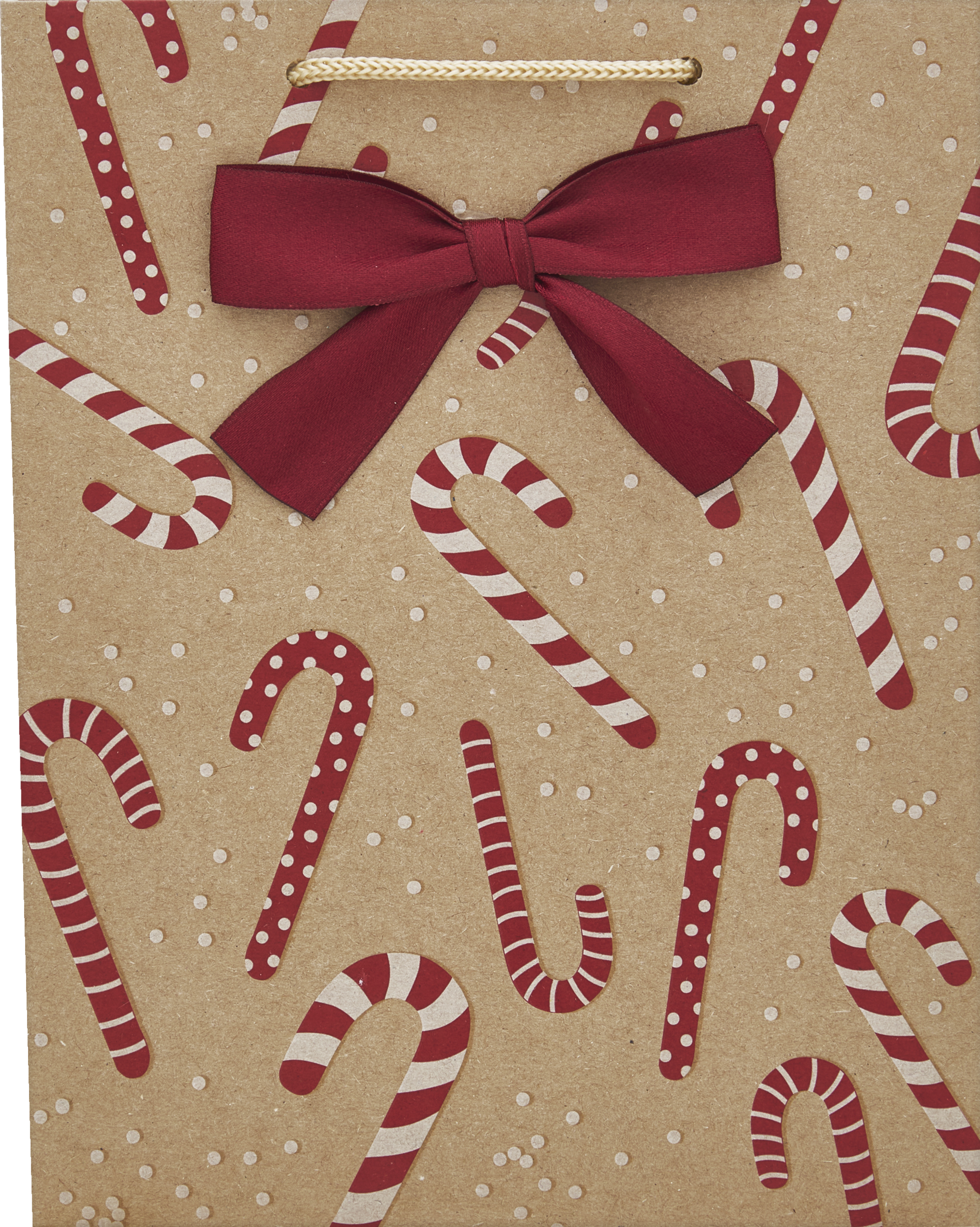 DEKOWELT Geschenktüte Braunkraft Hotfoil