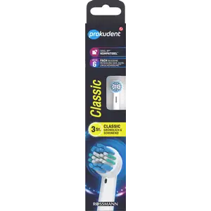 رؤوس فرشاة بديلة* كلاسيك عالمية