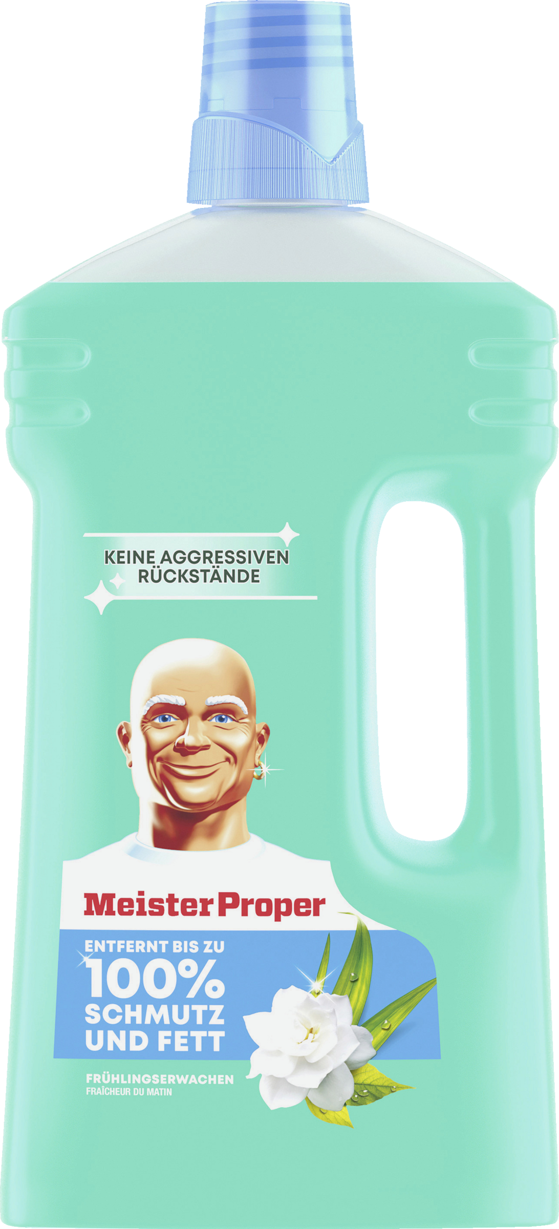Meister Proper Allzweckreiniger Frühlingserwachen