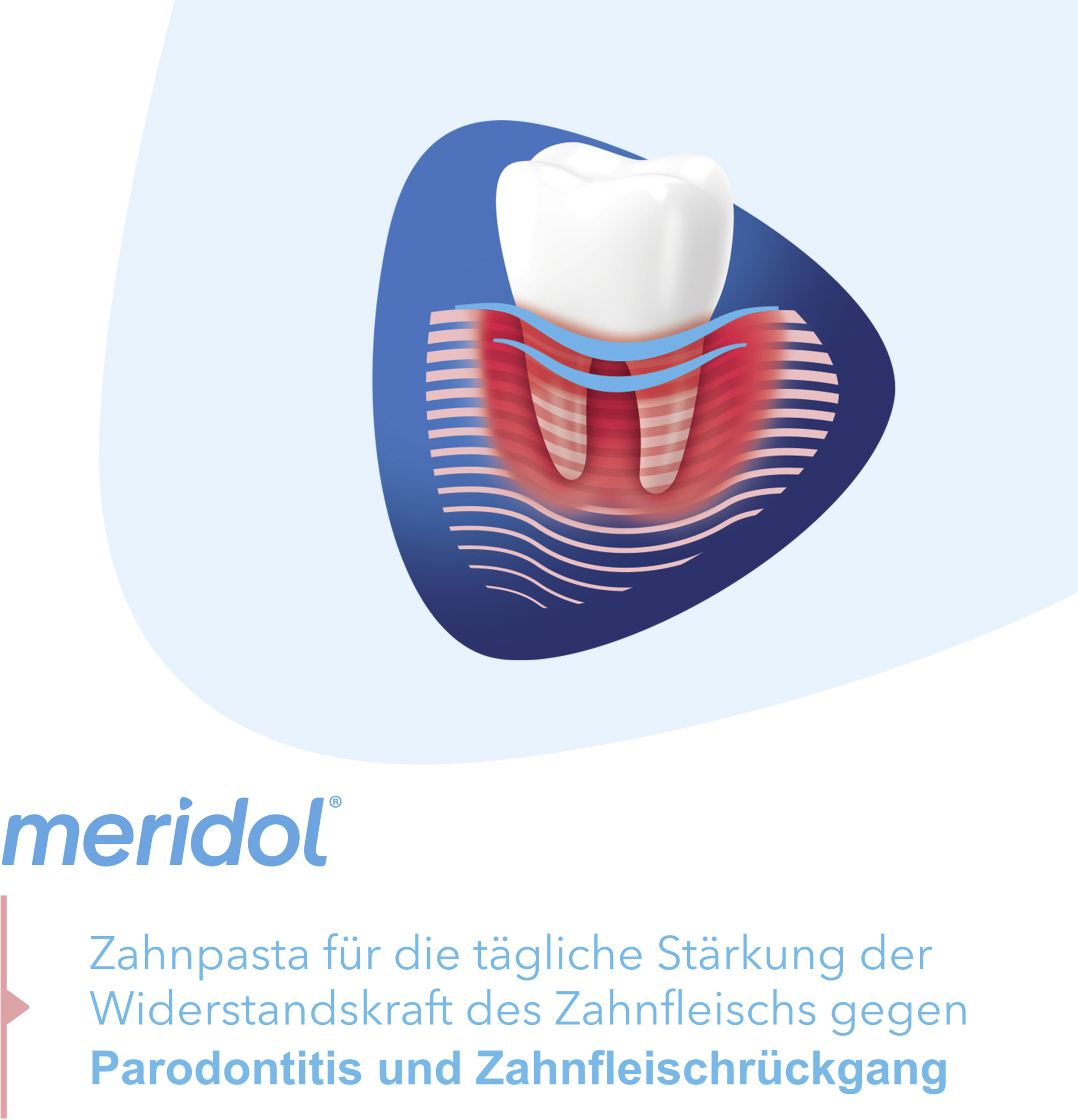 عبوة 3 فرشاة أسنان بارودونت إكسبيرت 6