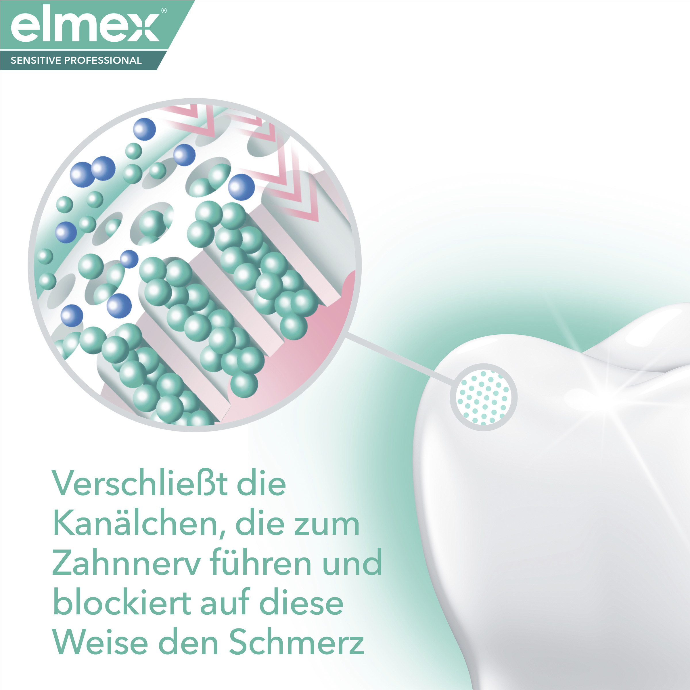 عبوة من 3 معجون أسنان Sensitive Professional 6