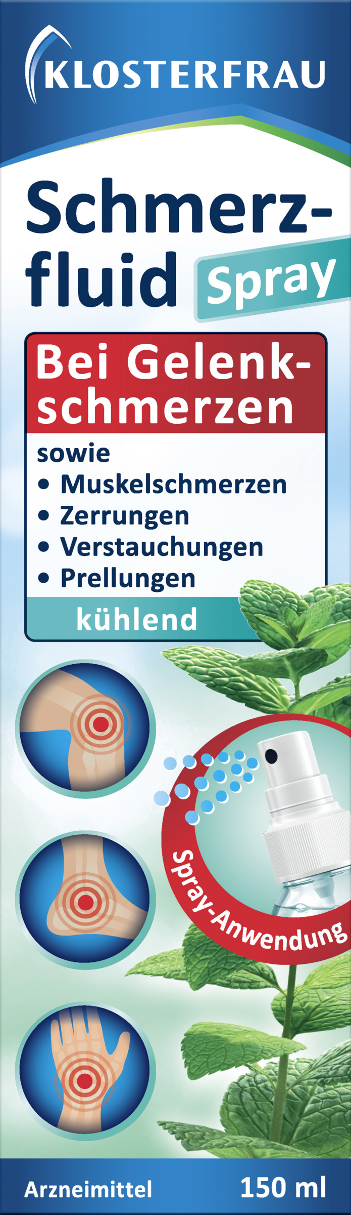 Klosterfrau Schmerzfluid Spray