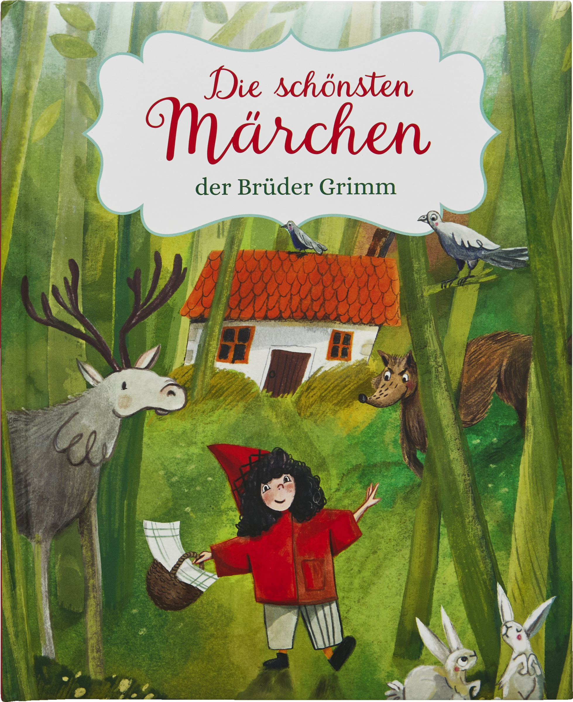 Vorlesebuch Die schönsten Märchen der Brüder Grimm