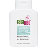 Wellness Dusche